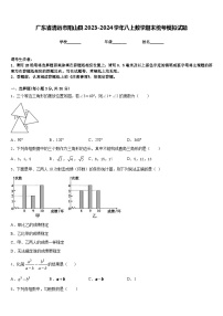 广东省清远市阳山县2023-2024学年八上数学期末统考模拟试题含答案