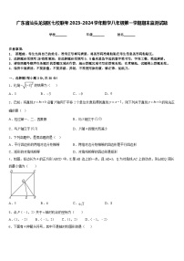 广东省汕头龙湖区七校联考2023-2024学年数学八年级第一学期期末监测试题含答案