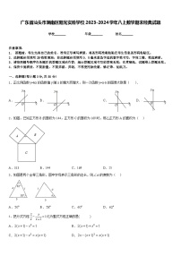 广东省汕头市潮南区阳光实验学校2023-2024学年八上数学期末经典试题含答案