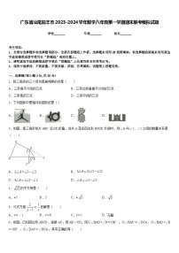 广东省汕尾陆丰市2023-2024学年数学八年级第一学期期末联考模拟试题含答案