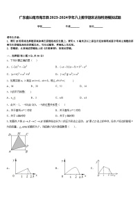 广东省汕尾市海丰县2023-2024学年八上数学期末达标检测模拟试题含答案