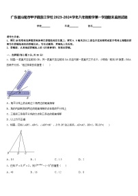 广东省汕尾市甲子镇瀛江学校2023-2024学年八年级数学第一学期期末监测试题含答案