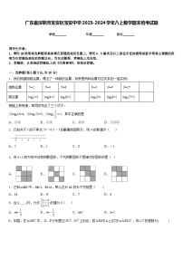 广东省深圳市宝安区宝安中学2023-2024学年八上数学期末统考试题含答案