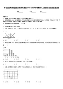 广东省深圳市南山区实验教育集团2023-2024学年数学八上期末学业质量监测试题含答案