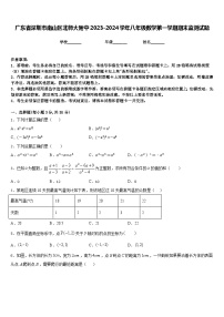 广东省深圳市南山区北师大附中2023-2024学年八年级数学第一学期期末监测试题含答案