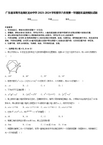 广东省深圳市龙岗区龙岭中学2023-2024学年数学八年级第一学期期末监测模拟试题含答案