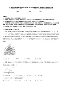 广东省深圳市海韵中学2023-2024学年数学八上期末达标测试试题含答案