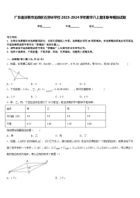 广东省深圳市龙岗区石芽岭学校2023-2024学年数学八上期末联考模拟试题含答案