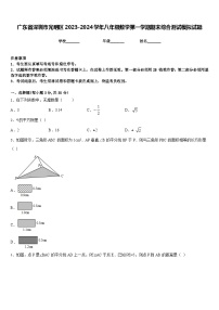 广东省深圳市光明区2023-2024学年八年级数学第一学期期末综合测试模拟试题含答案