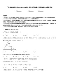 广东省英德市市区2023-2024学年数学八年级第一学期期末统考模拟试题含答案