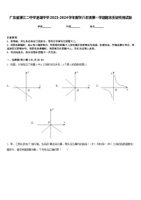 广东省湛江二中学港城中学2023-2024学年数学八年级第一学期期末质量检测试题含答案