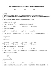 广东省深圳市石厦学校2023-2024学年八上数学期末质量检测试题含答案