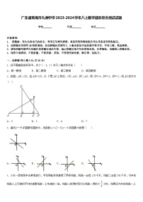 广东省珠海市九洲中学2023-2024学年八上数学期末综合测试试题含答案