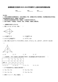 德州陵城区五校联考2023-2024学年数学八上期末质量检测模拟试题含答案