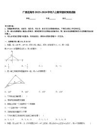 广西北海市2023-2024学年八上数学期末预测试题含答案