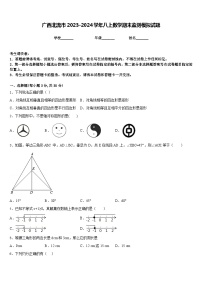 广西北流市2023-2024学年八上数学期末监测模拟试题含答案