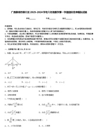 广西柳州市柳江区2023-2024学年八年级数学第一学期期末统考模拟试题含答案