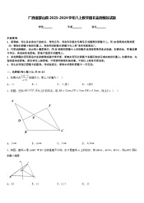 广西省蒙山县2023-2024学年八上数学期末监测模拟试题含答案