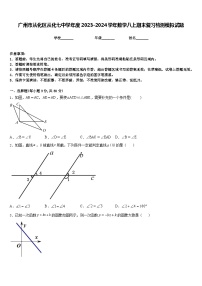 广州市从化区从化七中学年度2023-2024学年数学八上期末复习检测模拟试题含答案