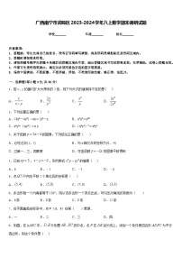 广西南宁市武鸣区2023-2024学年八上数学期末调研试题含答案