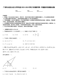 广州市从化区从化七中学年度2023-2024学年八年级数学第一学期期末检测模拟试题含答案