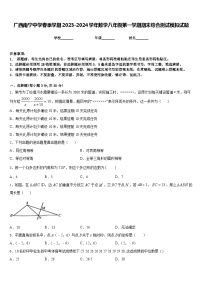 广西南宁中学春季学期2023-2024学年数学八年级第一学期期末综合测试模拟试题含答案