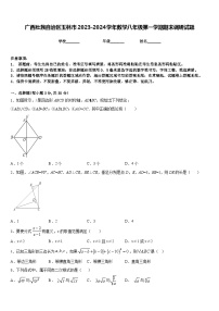 广西壮族自治区玉林市2023-2024学年数学八年级第一学期期末调研试题含答案