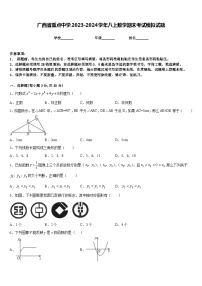 广西省重点中学2023-2024学年八上数学期末考试模拟试题含答案