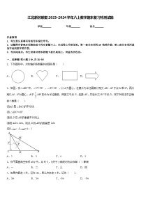 江北新区联盟2023-2024学年八上数学期末复习检测试题含答案