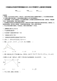 江苏省东台市实验中学教育集团2023-2024学年数学八上期末复习检测试题含答案