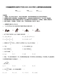 江苏省南京师范大附中江宁分校2023-2024学年八上数学期末达标测试试题含答案