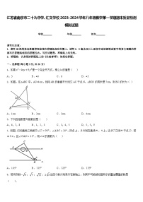 江苏省南京市二十九中学、汇文学校2023-2024学年八年级数学第一学期期末质量检测模拟试题含答案