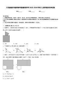 江苏省南京市南师附中集团新城中学2023-2024学年八上数学期末统考试题含答案