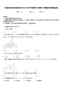 江苏省兴化市乐吾实验学校2023-2024学年数学八年级第一学期期末考试模拟试题含答案