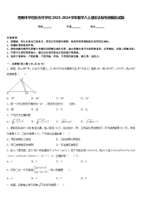 昆明市学校际合作学校2023-2024学年数学八上期末达标检测模拟试题含答案