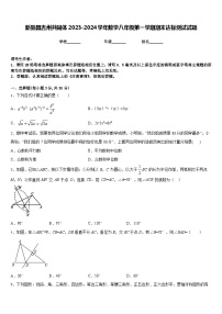 新疆昌吉州共同体2023-2024学年数学八年级第一学期期末达标测试试题含答案