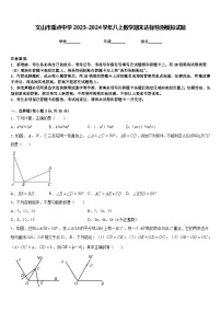 文山市重点中学2023-2024学年八上数学期末达标检测模拟试题含答案