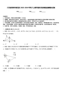 江苏省常州市新北区2023-2024学年八上数学期末质量跟踪监视模拟试题含答案