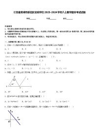 江苏省常州市新北区实验学校2023-2024学年八上数学期末考试试题含答案