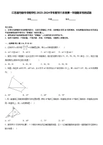 江苏省句容市华阳学校2023-2024学年数学八年级第一学期期末检测试题含答案