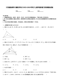 江苏省扬州市江都区邵凡片2023-2024学年八上数学期末复习检测模拟试题含答案