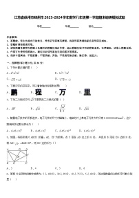 江苏省徐州市邳州市2023-2024学年数学八年级第一学期期末调研模拟试题含答案