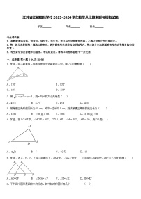 江苏省江都国际学校2023-2024学年数学八上期末联考模拟试题含答案