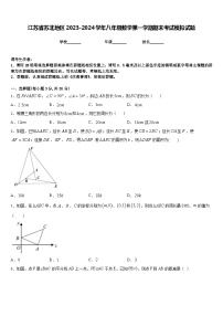 江苏省苏北地区2023-2024学年八年级数学第一学期期末考试模拟试题含答案