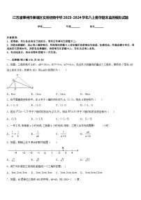 江苏省泰州市姜堰区实验初级中学2023-2024学年八上数学期末监测模拟试题含答案