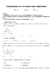 江苏省苏州市张家港市2023-2024学年数学八年级第一学期期末统考试题含答案