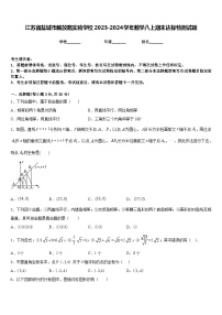 江苏省盐城市解放路实验学校2023-2024学年数学八上期末达标检测试题含答案