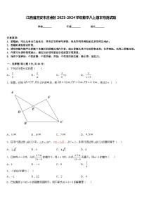 江西省吉安市吉州区2023-2024学年数学八上期末检测试题含答案