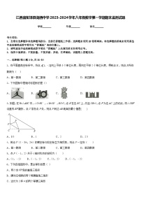 江西省彭泽县湖西中学2023-2024学年八年级数学第一学期期末监测试题含答案