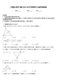 江西省上饶市广信区2023-2024学年数学八上期末检测试题含答案